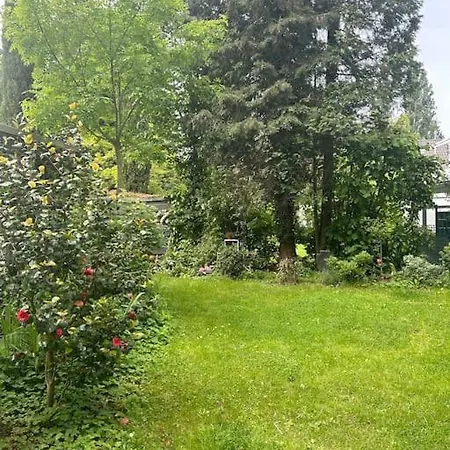 Dachgeschosswohnung Nah Am Rhein