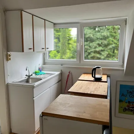 Dachgeschosswohnung Nah Am Rhein Apartment Bonn