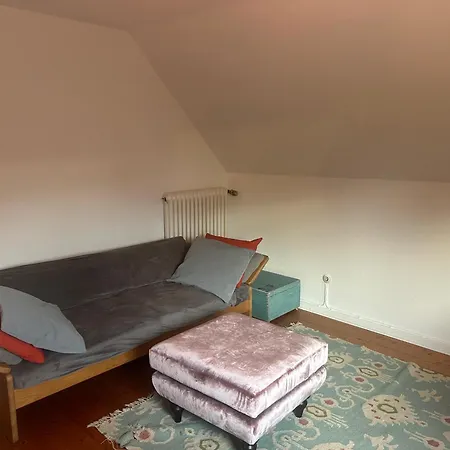 Apartment Dachgeschosswohnung Nah Am Rhein Bonn